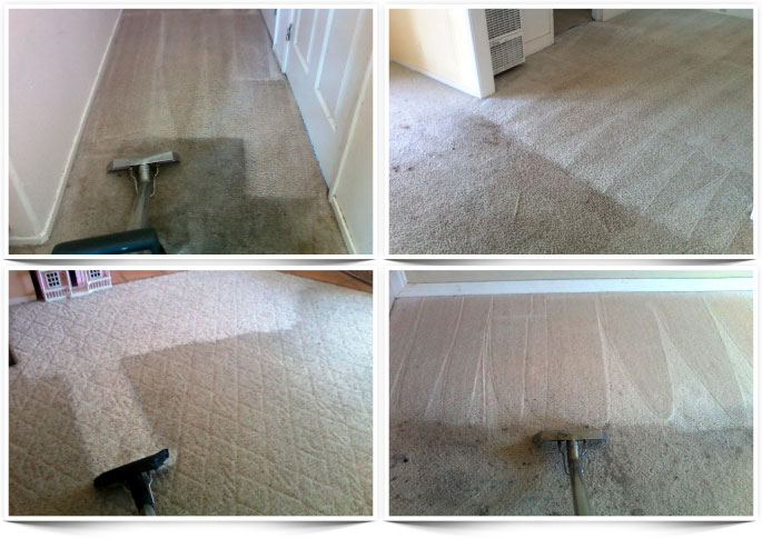 Image: Carpet Cleaning Before & After Photos (Santa Maria, CA)