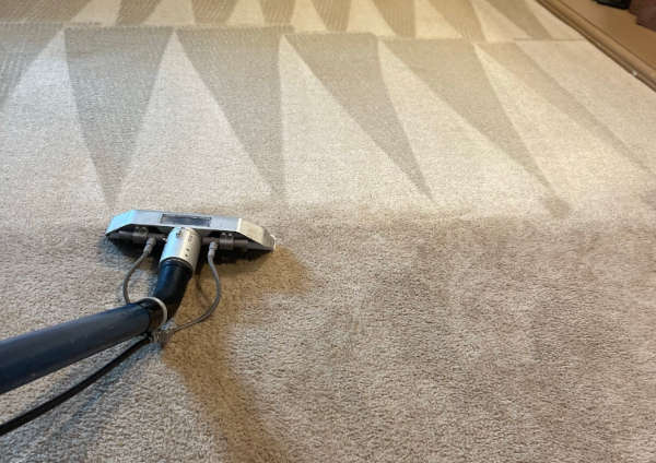 Image: Carpet Cleaning