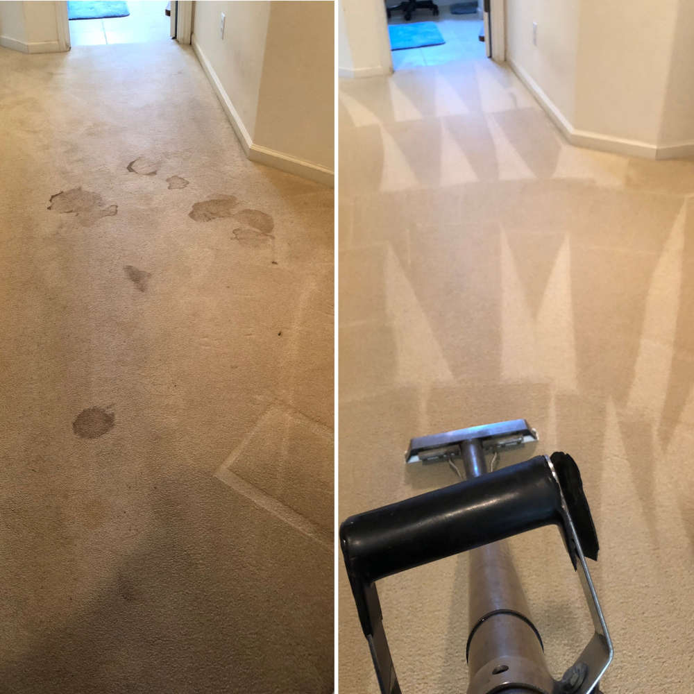 Image: Carpet Cleaning Before & After Photos (Santa Maria, CA)