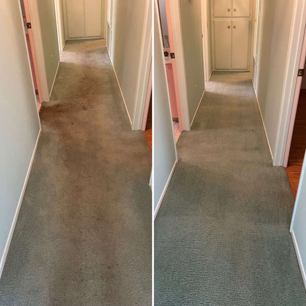Image: Carpet Cleaning Before & After Photos (Santa Maria, CA)